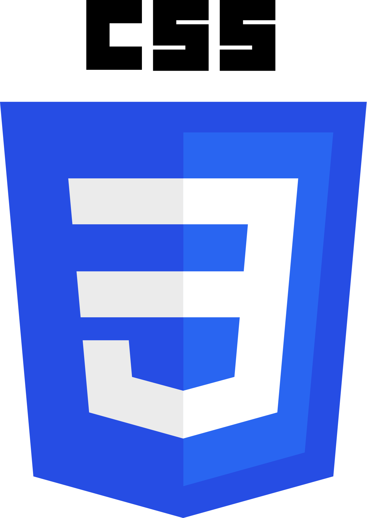 CSS language logo